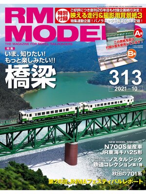 cover image of RM MODELS: 313号